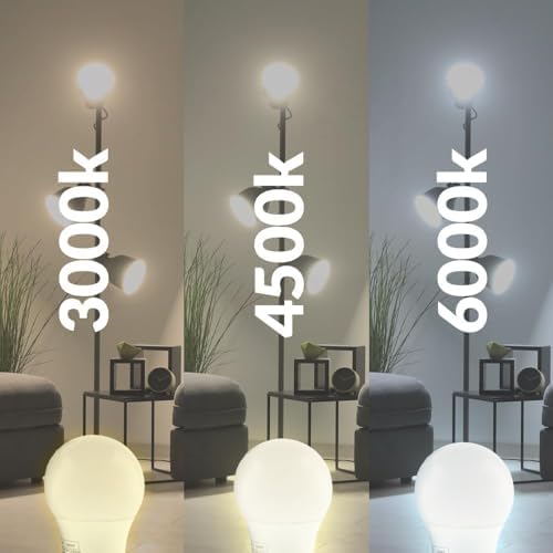 Vue 7 de Ledme Pack De