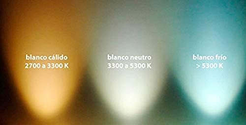 Vue 5 de Tecnolux Euro Led Ampoules