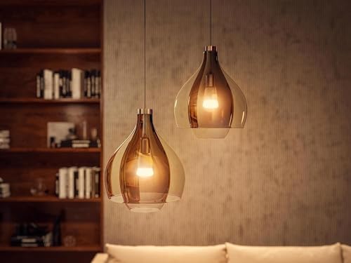 Vue 5 de Philips Hue White Ampoule