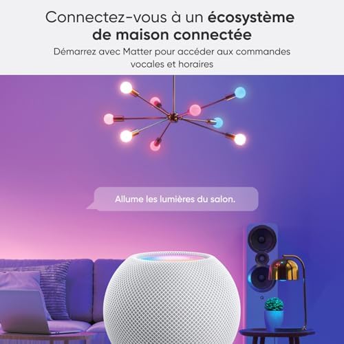 Vue 2 de Nanoleaf Matter Essentials Pack