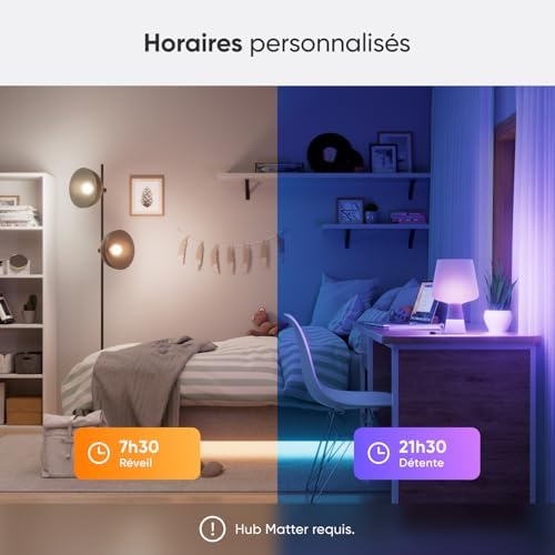 Vue 4 de Nanoleaf Matter Essentials Pack