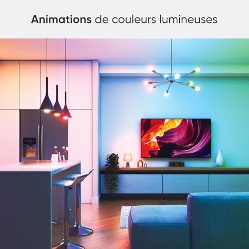 Vue 5 de Nanoleaf Matter Essentials Pack