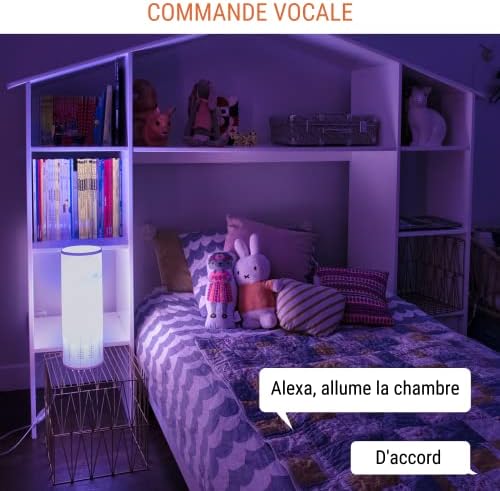 Vue 5 de Konyks Ampoule Connectee Antalya