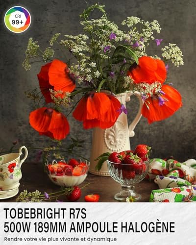 Vue 5 de Tobebright Rs Ampoule Halogene