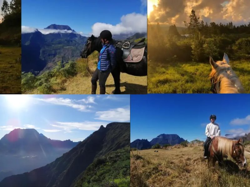 Balade à cheval au Piton Maïdo