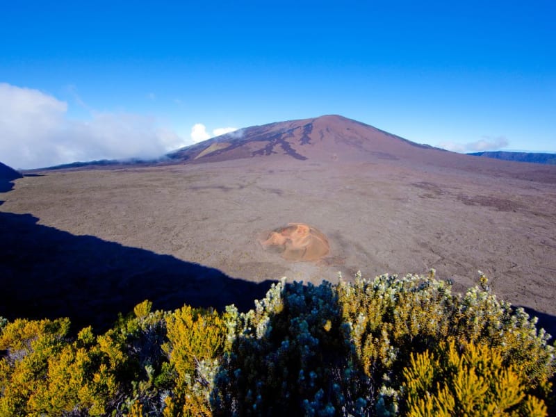 Piton de la Fournaise sous un ciel bleu, le petit cratère orangé du Formica Léo posé dans l'Enclos, branchages jaunes au premier plan
