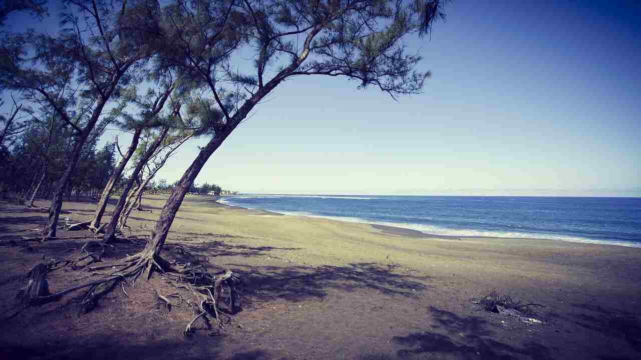 organiser son voyage à la réunion plage étang salé