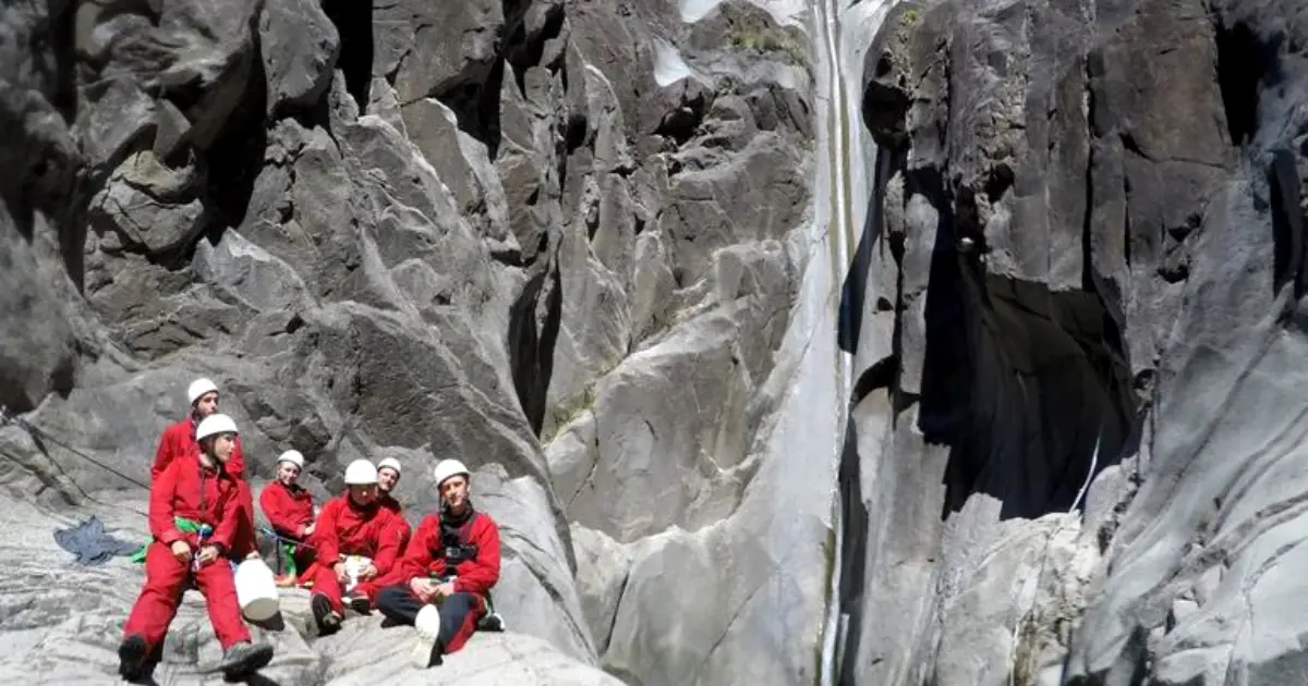 canyoning la réunion mini fleur jaune.webp