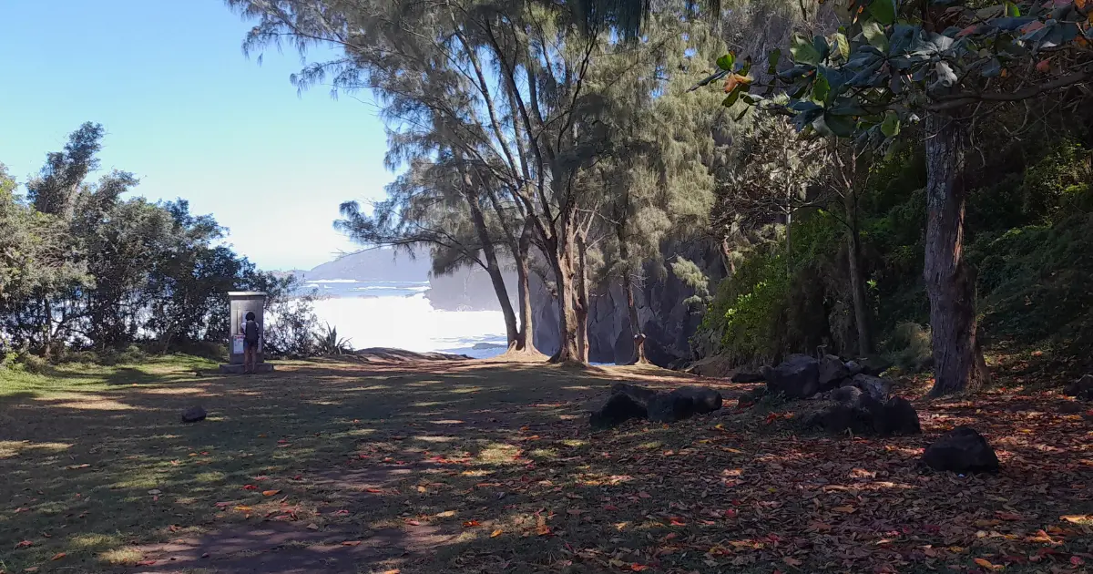 bivouac sud sauvage la reunion .webp