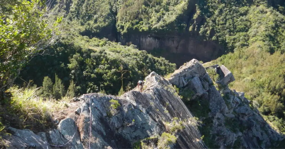 escalade la réunion.webp