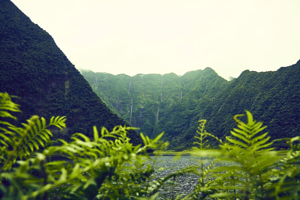 A misty green valley in eastern Reunion Island, waterfalls streaking down steep, forest-covered cliffs near Saint-Benoît