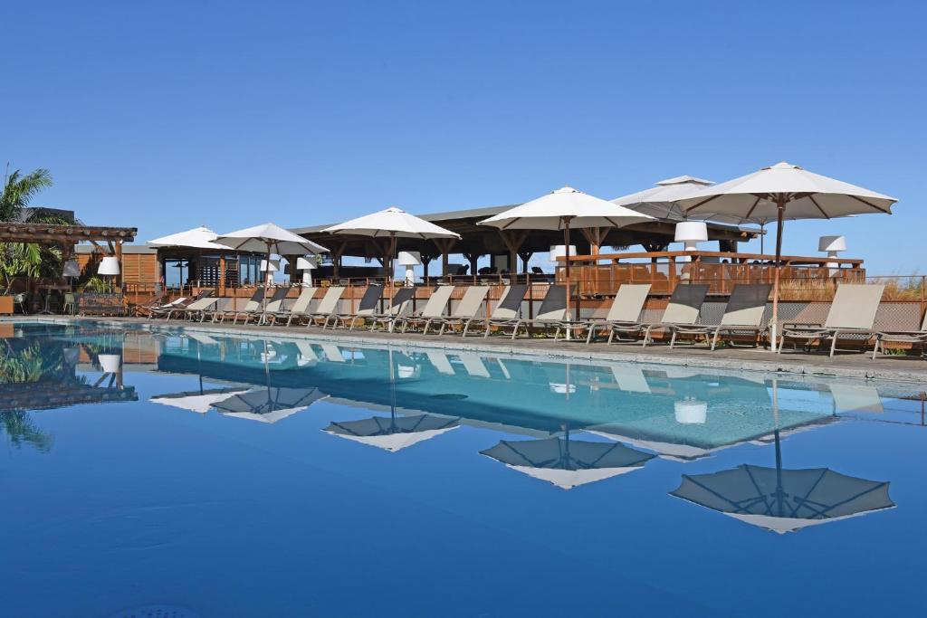 Piscine extérieure du Dina Morgabine Saint-Gilles avec rangée de transats blancs et parasols devant la terrasse en bois