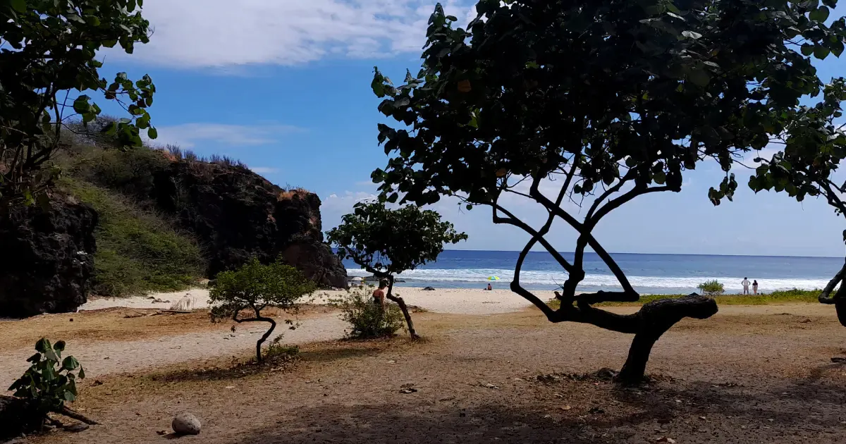 Bivouac à Boucan Canot, plage de Cap Homard