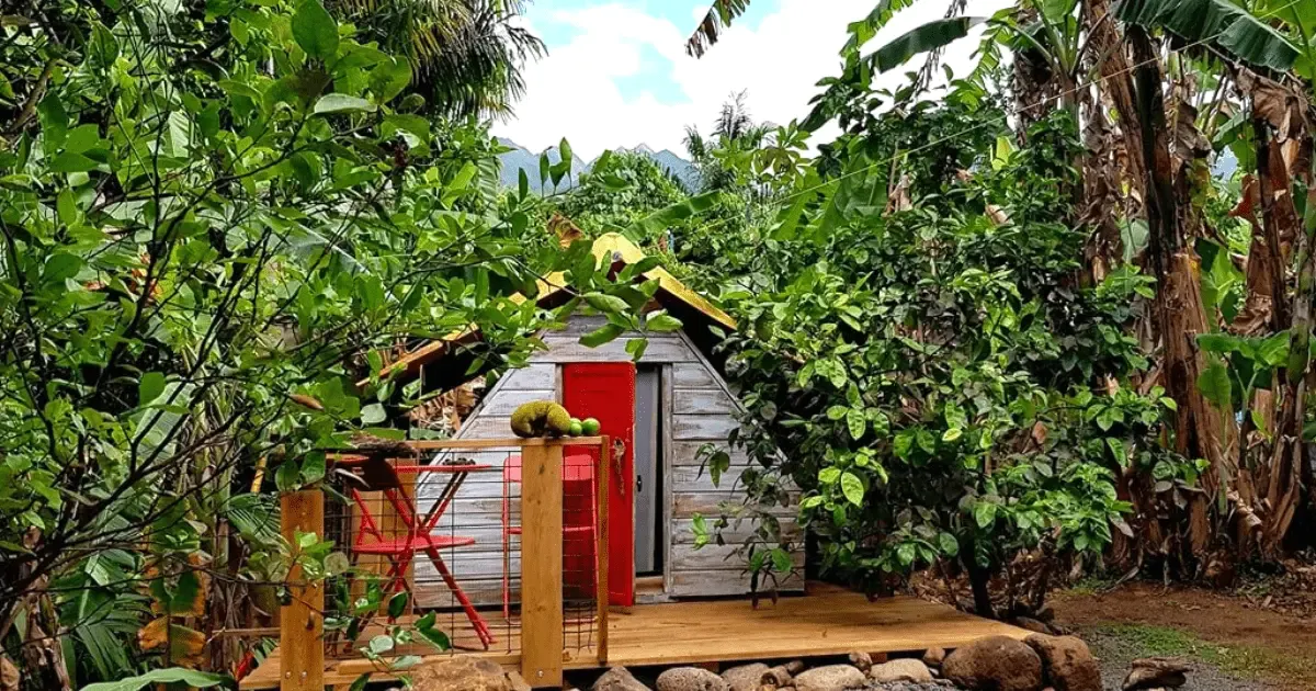 Case créole colorée du village d'Entre-Deux, façade en bois et végétation tropicale luxuriante, La Réunion