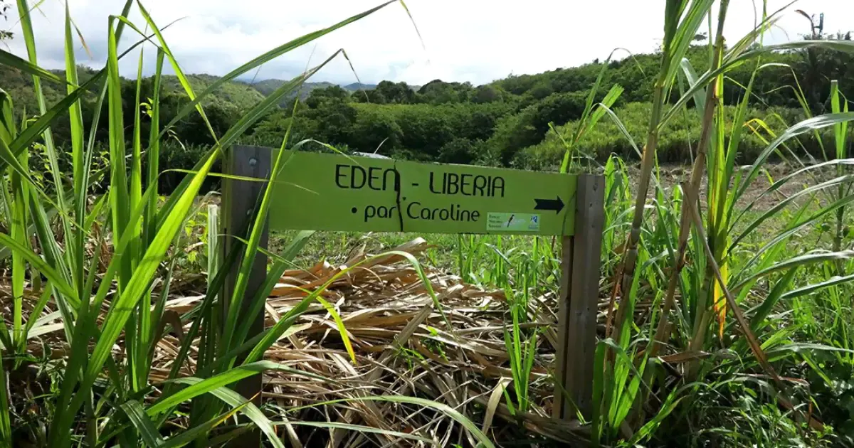 Belvédère de l'Eden à Bras-Panon, nord-est