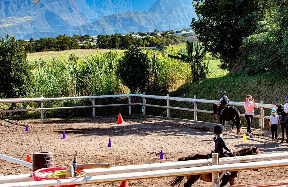 Manège équestre de Gadiamb City avec poneys et chevaux, vue sur les montagnes de Saint-Pierre