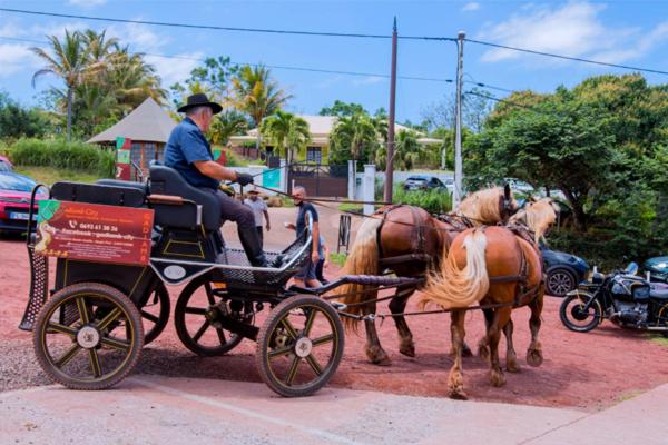 Calèche Gadiamb City tractée par deux chevaux blonds, devant l'entrée du domaine