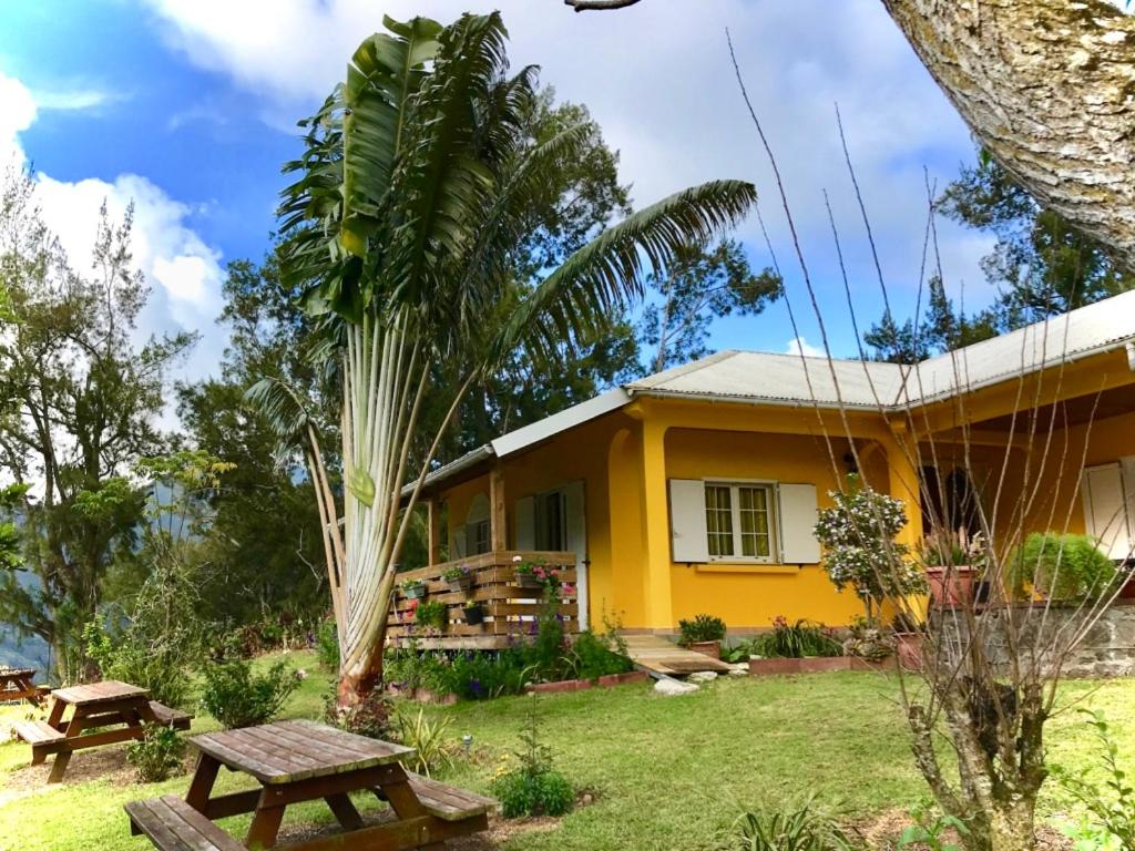Gîte Le Guétali, maison créole jaune à volets avec véranda fleurie et arbre du voyageur dans un jardin à Grand-Îlet