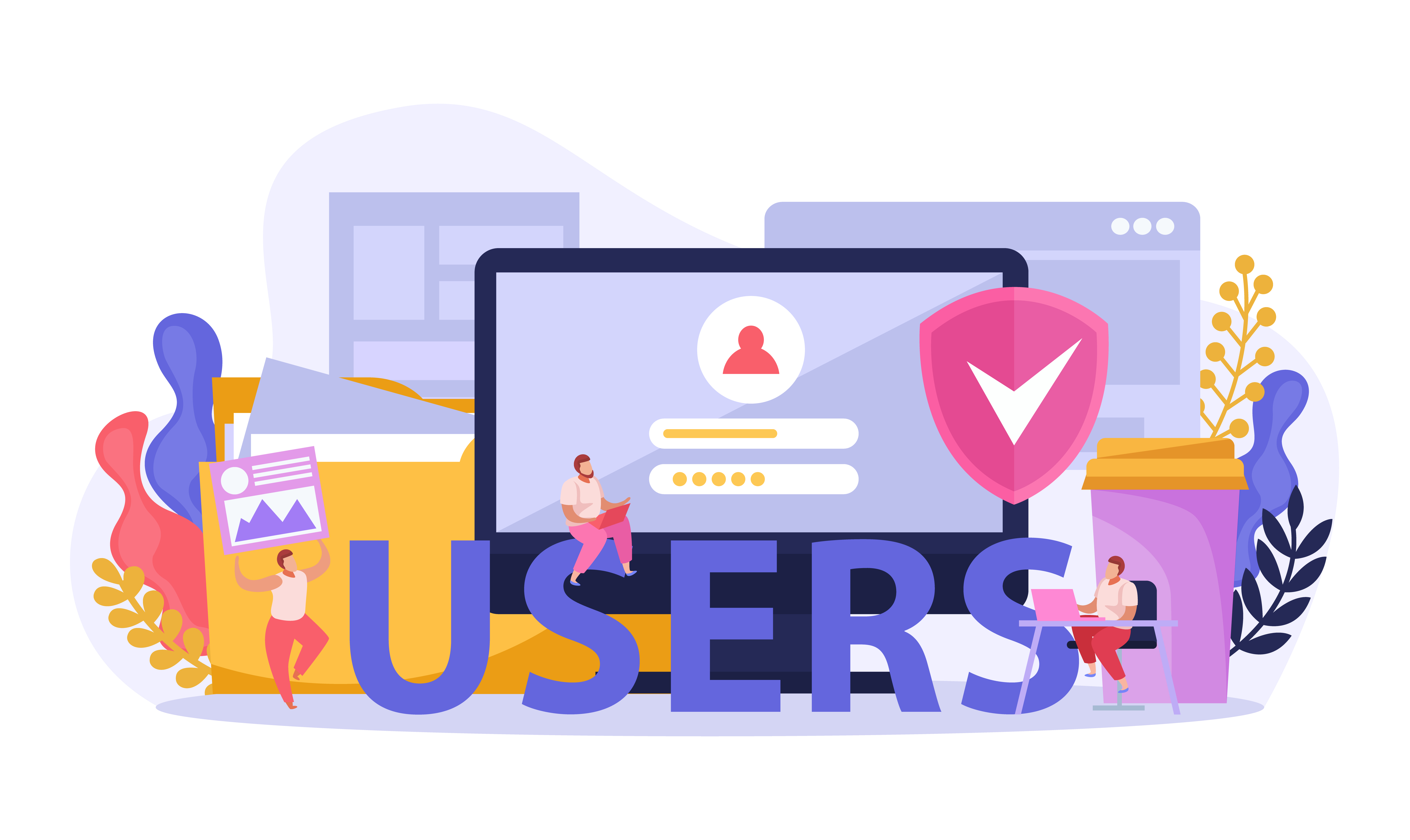 Web Design and Development