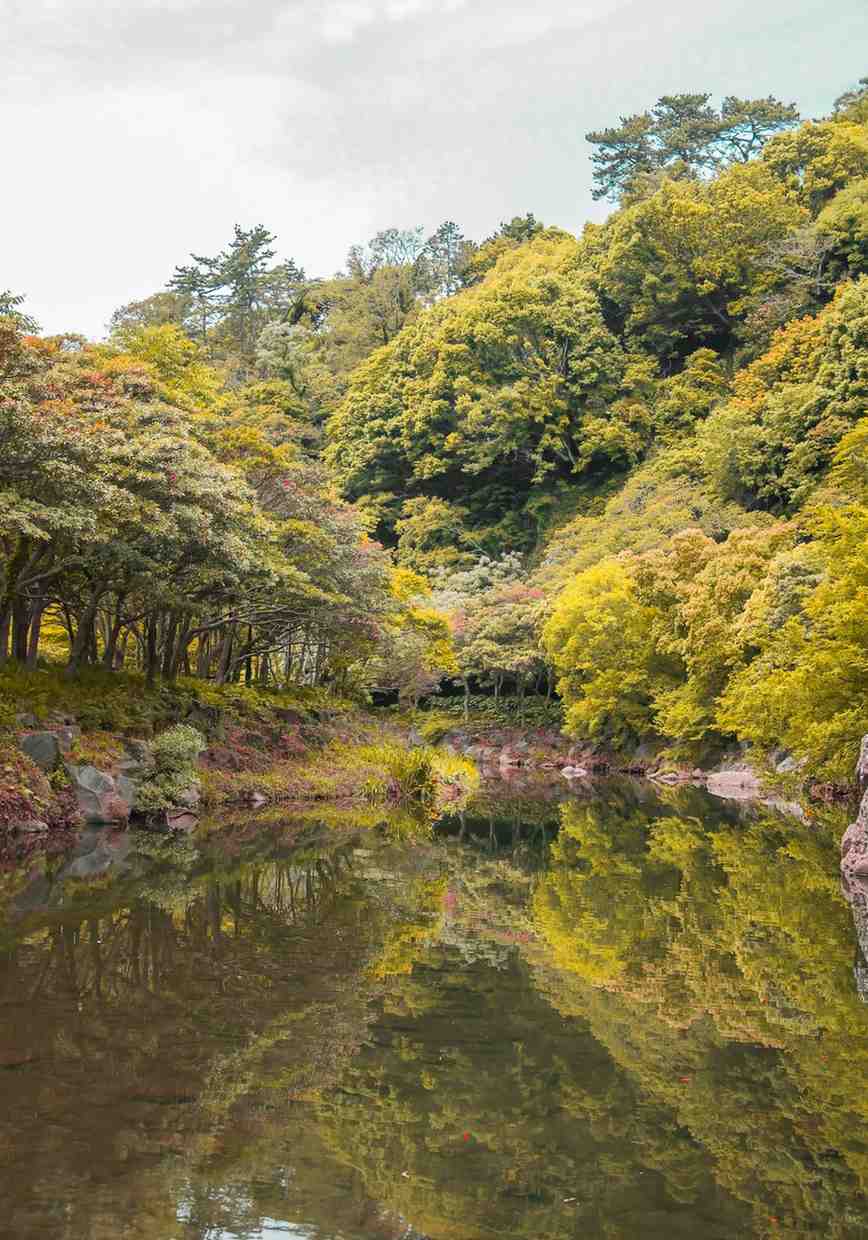 Rose Coloured Lens founder