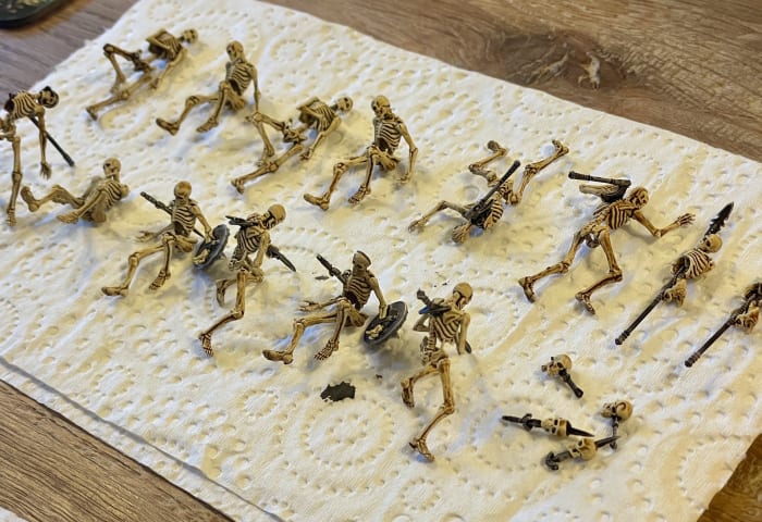 Slain Skeleton Scatter photo 1 of 3