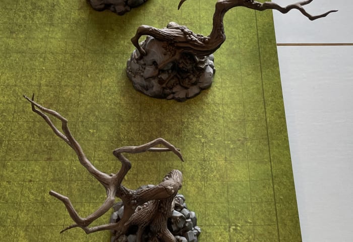 Contorted Trees photo 3 of 5