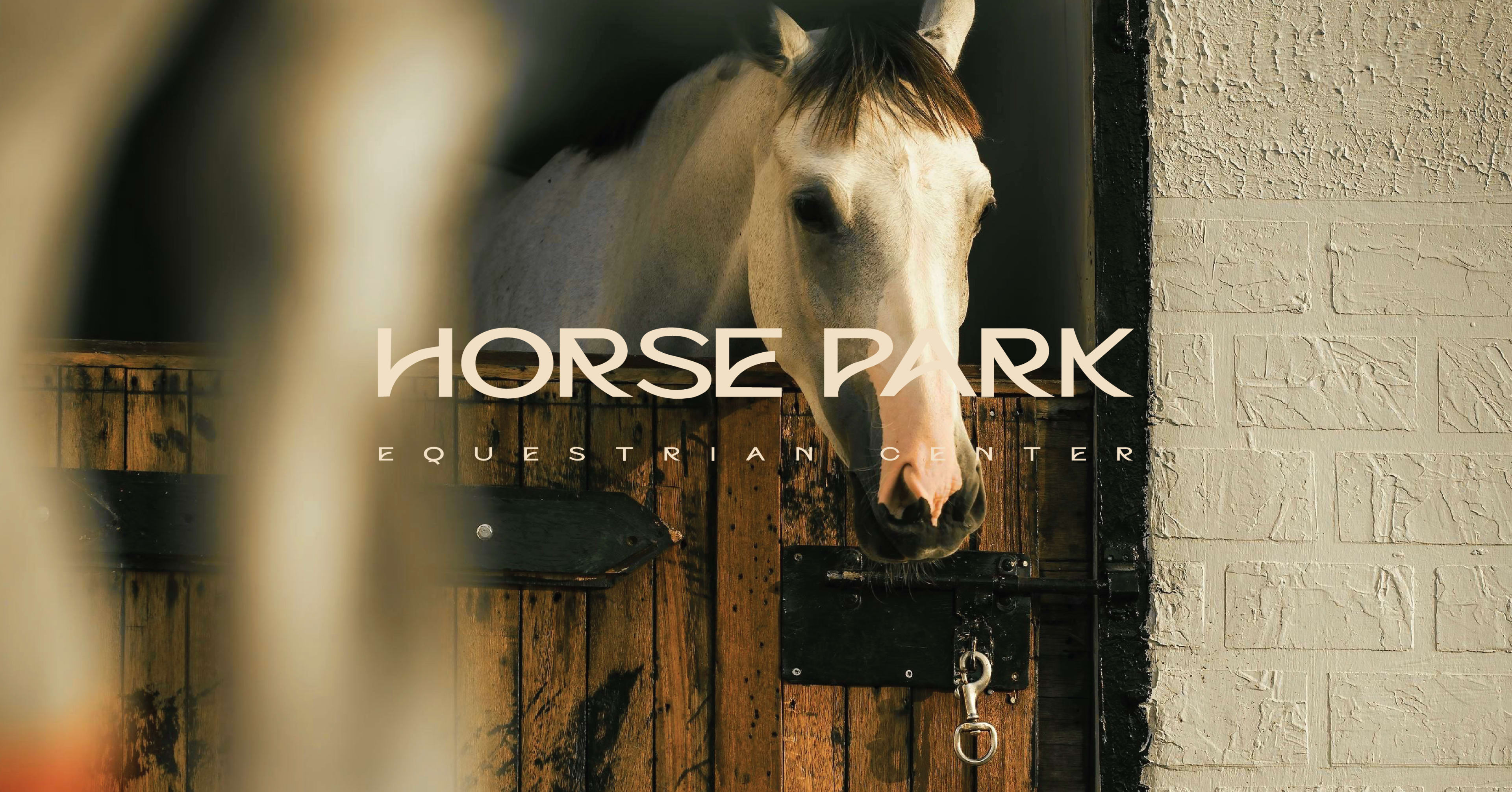 Horse Park 13