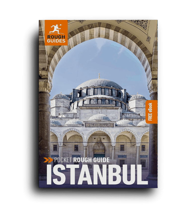 Pocket Rough Guide Istanbul: Travel Guide with eBook