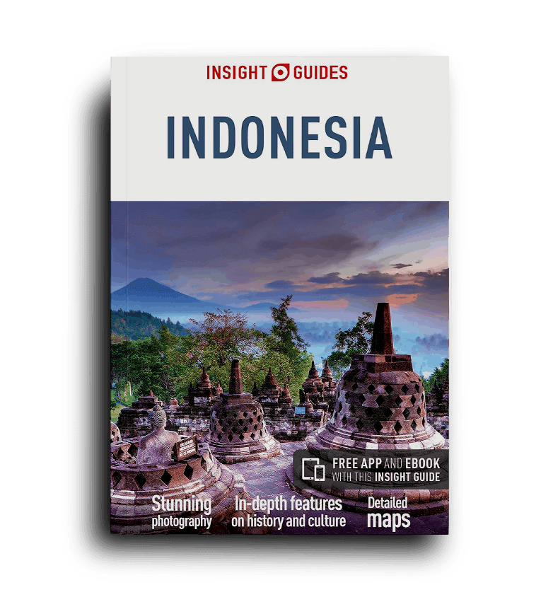 Insight Guides Indonesia (Travel Guide with Free eBook)