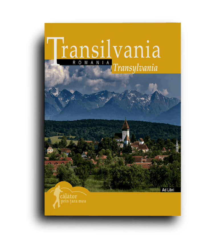 Transilvania - Florin Andreescu