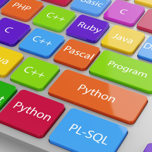 プログラミング・システム開発