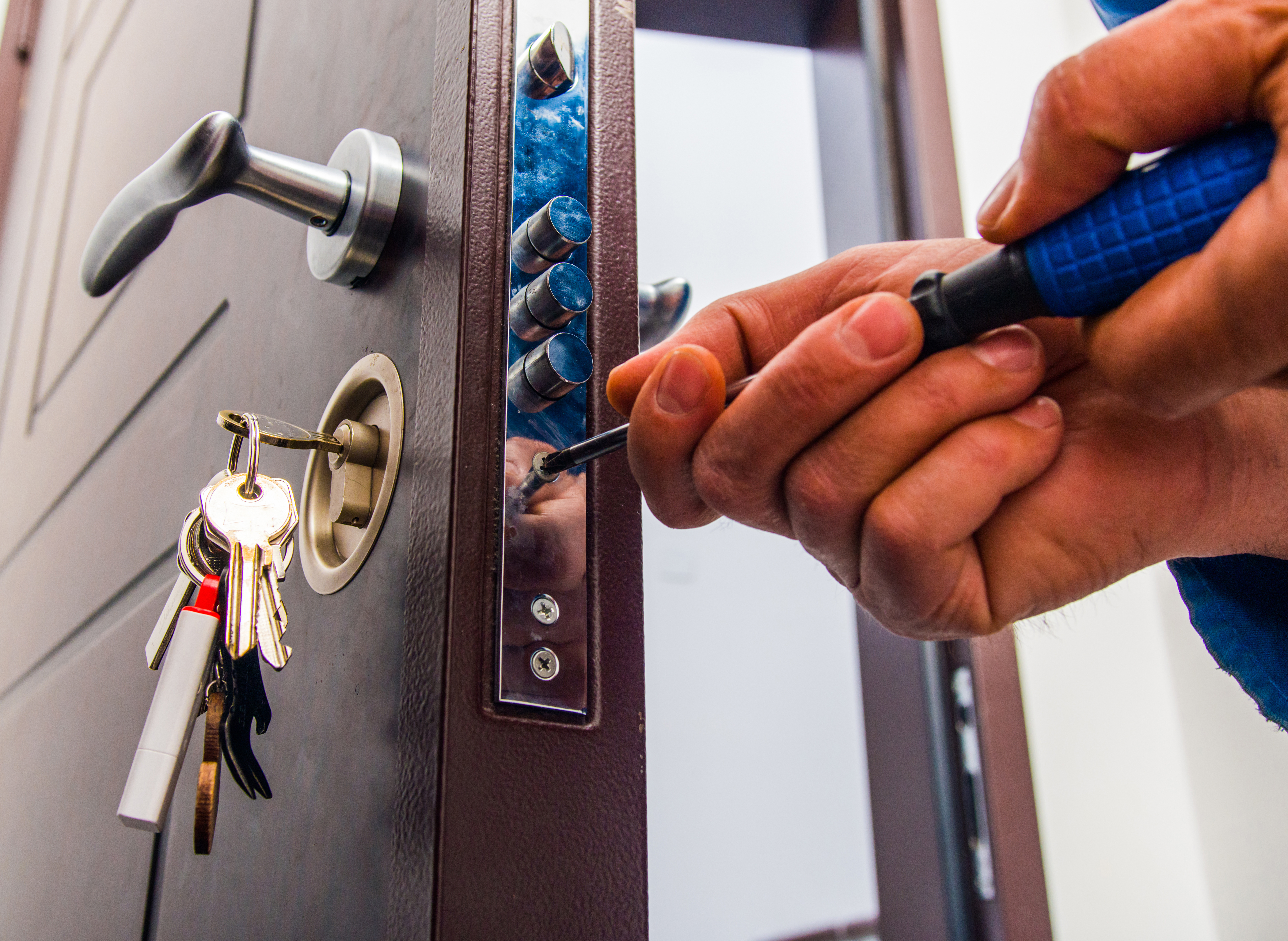 Magnetic and Security Locked Doors
