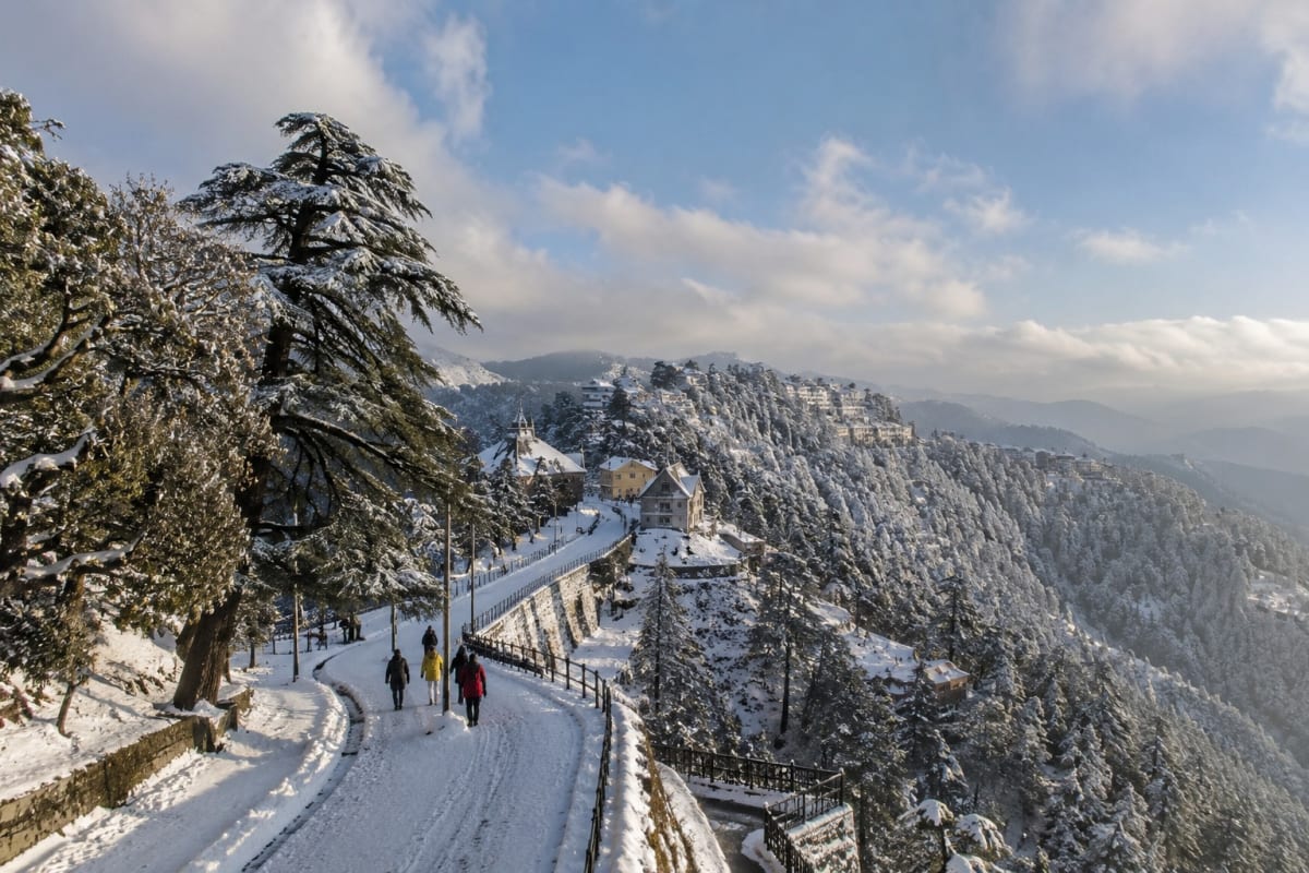 Shimla & Kufri 
