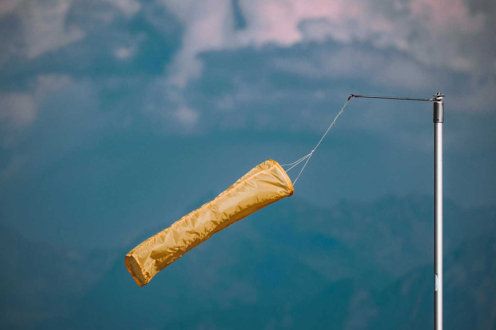 대학이라는 조건 없이도