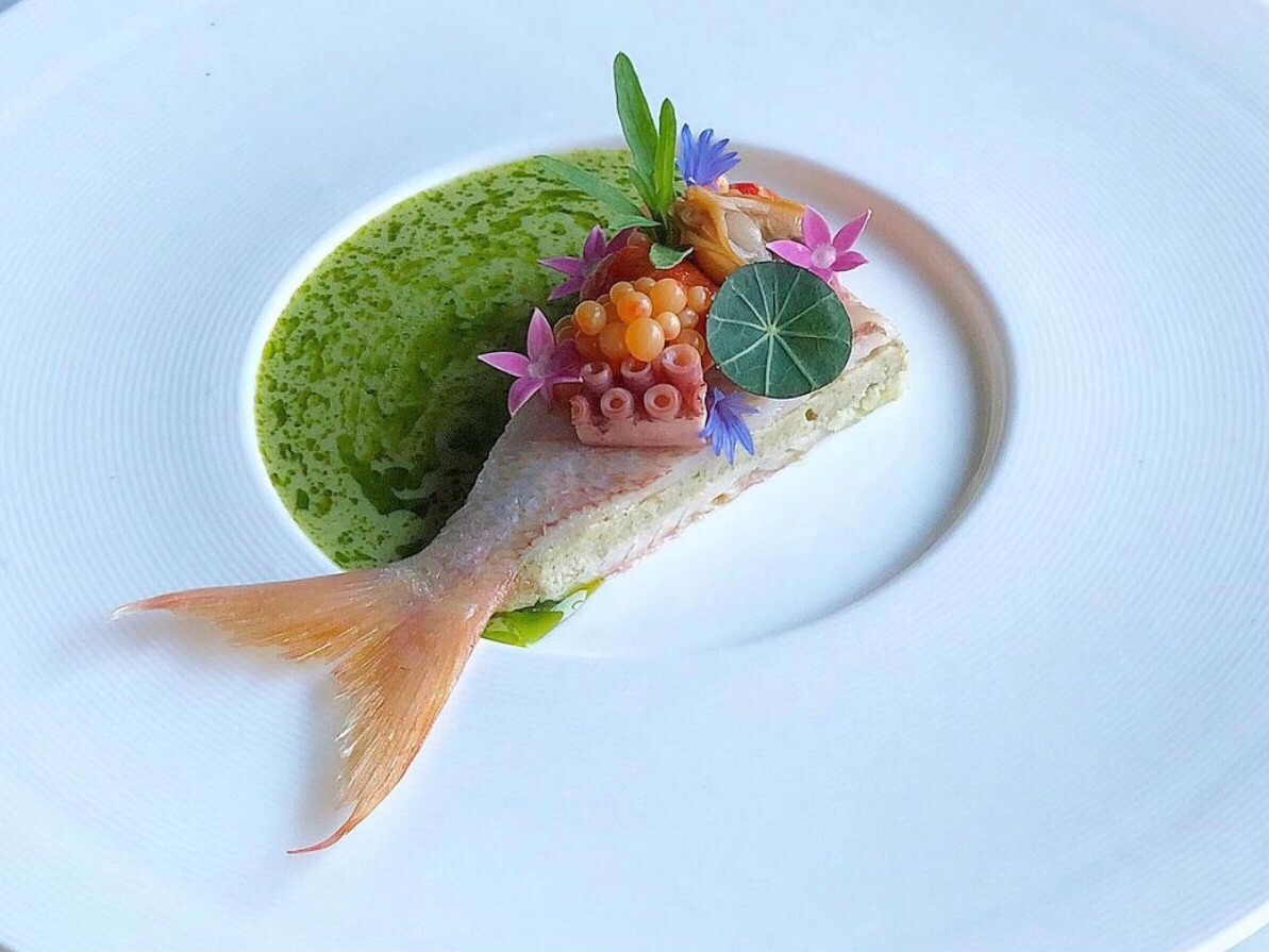 Sanat, Estetik ve Gastronomi 