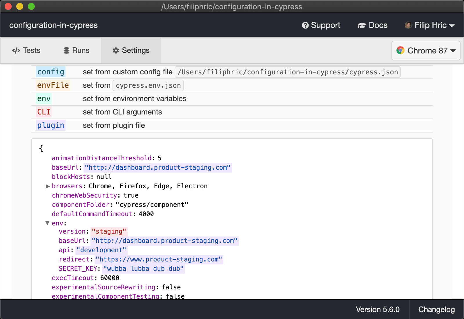 Environment variable is read in Cypress