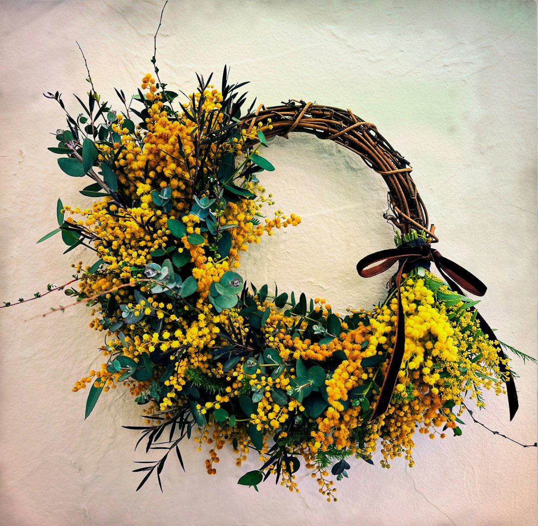 Acacia jaune