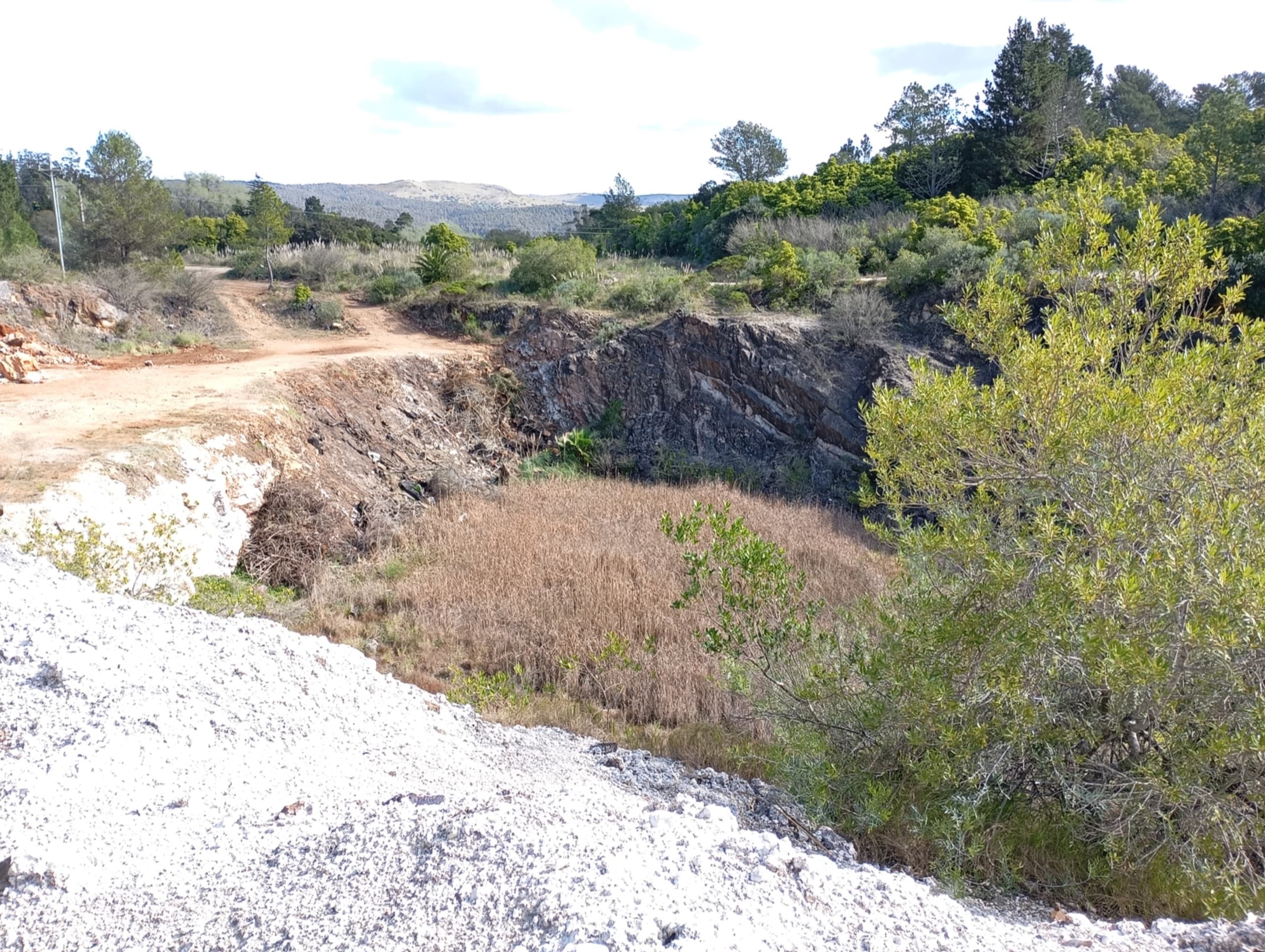 Paisaje Dinámico - Académico
