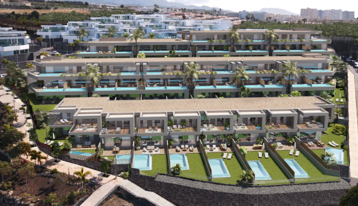 AMOENUS PROJECT gallery 20