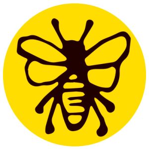 Logo POLLINIS