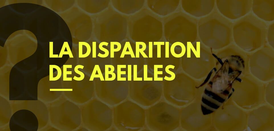 Pourquoi les Abeilles Disparaissent-Elles ?