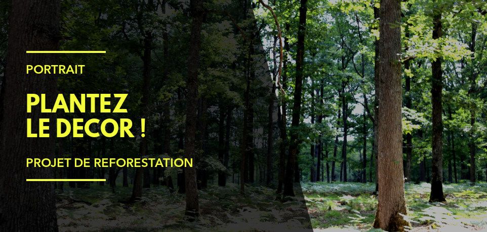 Exemple de Projet de Reforestation : Plantez le Décor