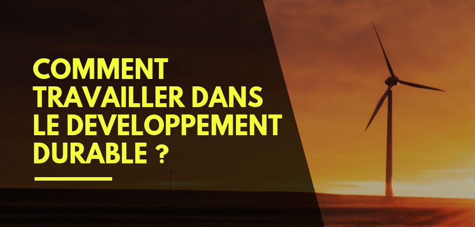 Comment Travailler Dans Le Developpement Durable