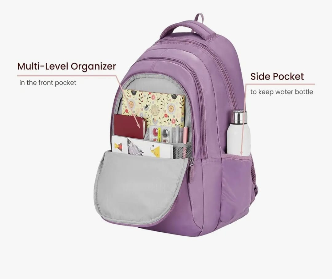 Three Main Compartments