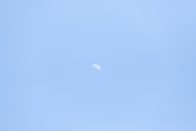 IMG_8317_yh5qsf