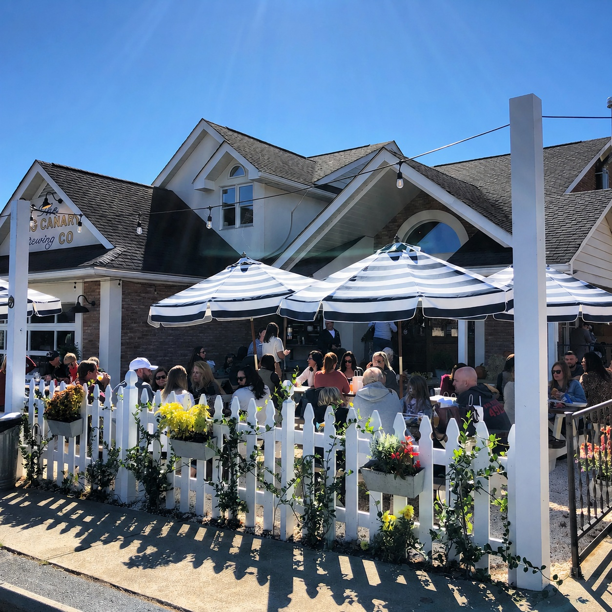 King Canary Brewing Company patio