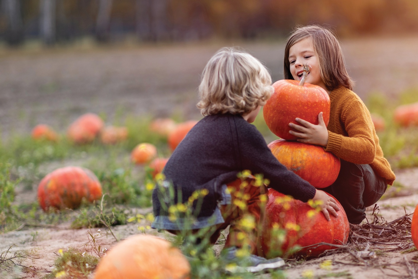 Children choosing pumpkins together in a pumpkin patch