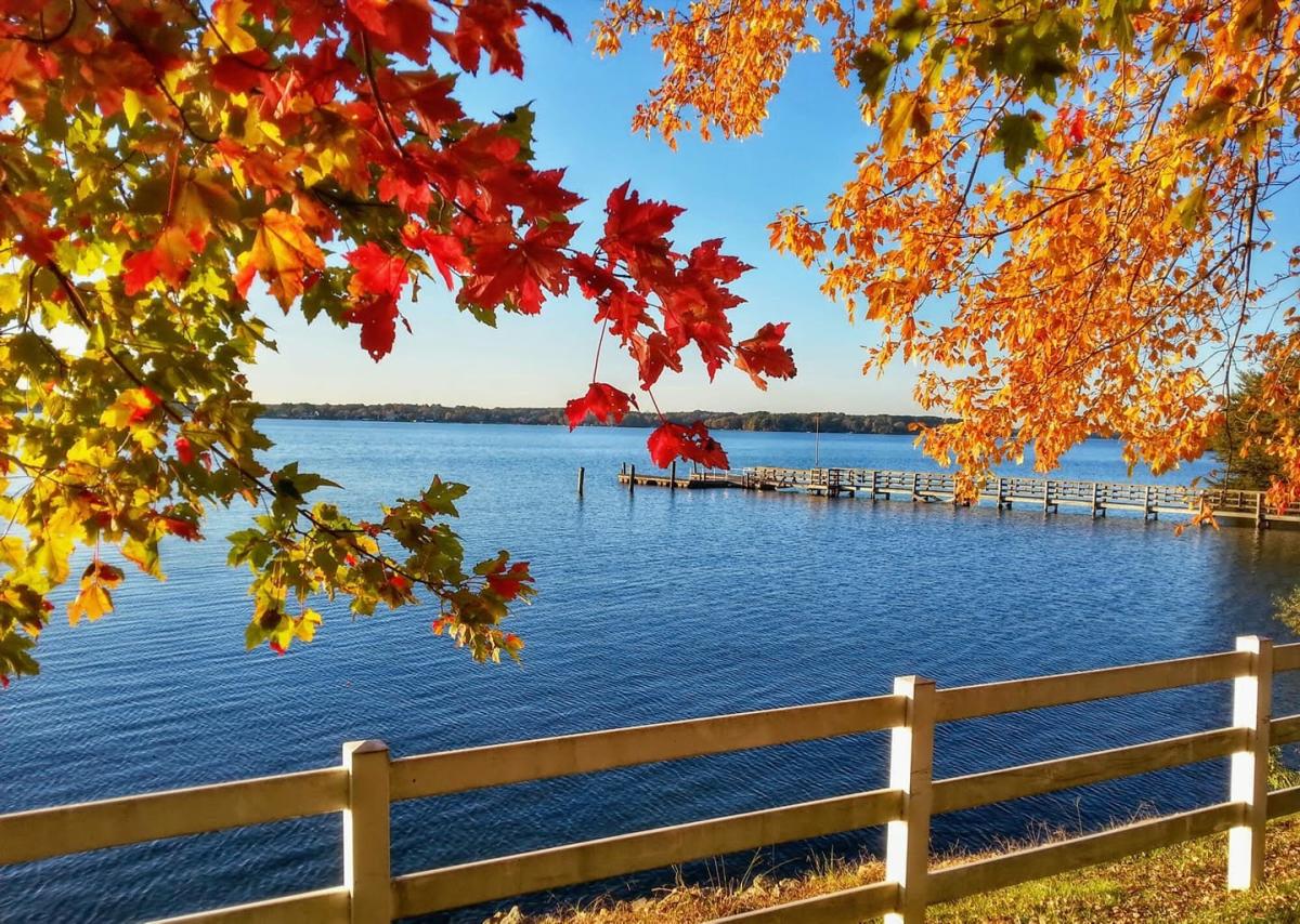 Red and golden autumn leaves beside a lake and dock