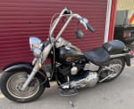 Black  1998 HARLEY DAVIDSON FLSTF - Photo 13