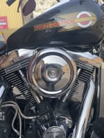 Black  1998 HARLEY DAVIDSON FLSTF - Photo 21